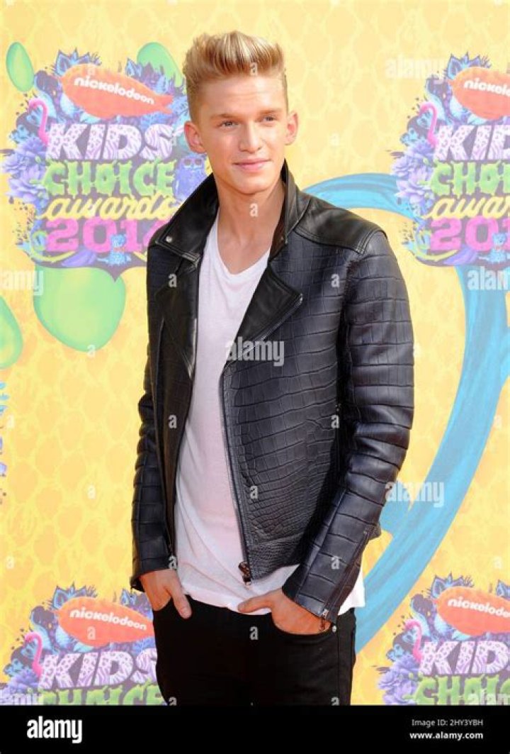 Hottest Hunks at the 2017 Nickelodeon Kids’ Choice Awards– PICS