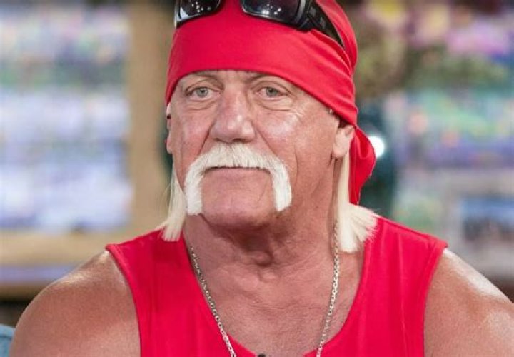 Hulk Hogan Divorced: Wrestler Splits From 2nd Wife Jennifer McDaniel & Moves On With New GF