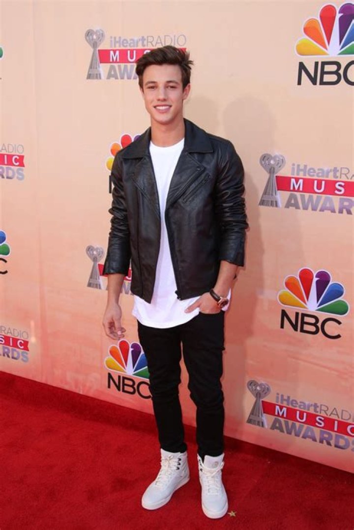 iHeartRadio Awards Mens Fashion 2015: Hottest Hunks At The Show