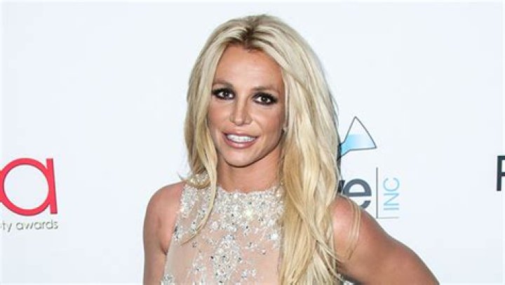 Is Britney Spears Quitting Music? What She’s Said – Hollywood Life