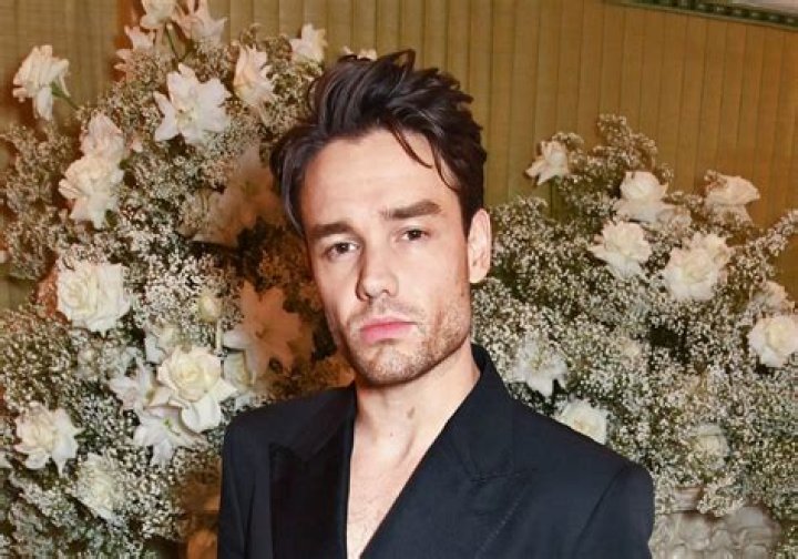 Is ‘Larry’ Real? — Liam Payne Sets Record Straight About Harry & Louis – Hollywood Life