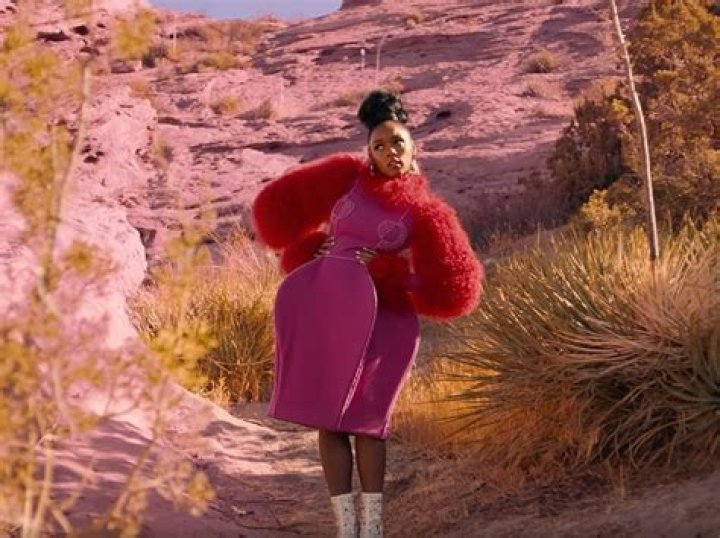 Janelle Monae’s Empowering Video For ‘PYNK’ — PICS