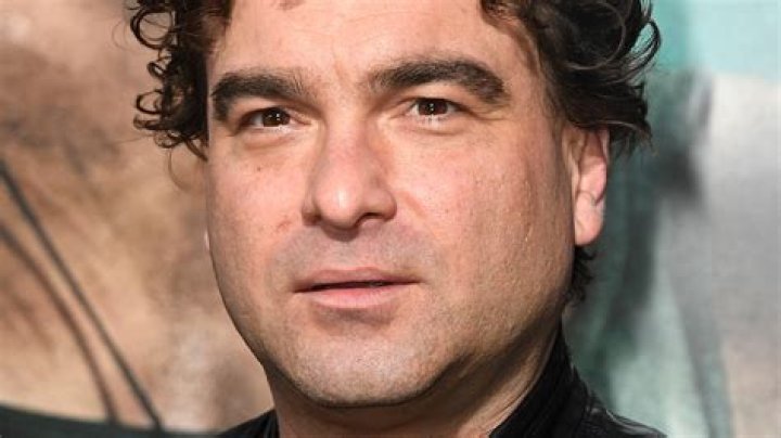 Johnny Galecki Celebrity Profile – Hollywood Life