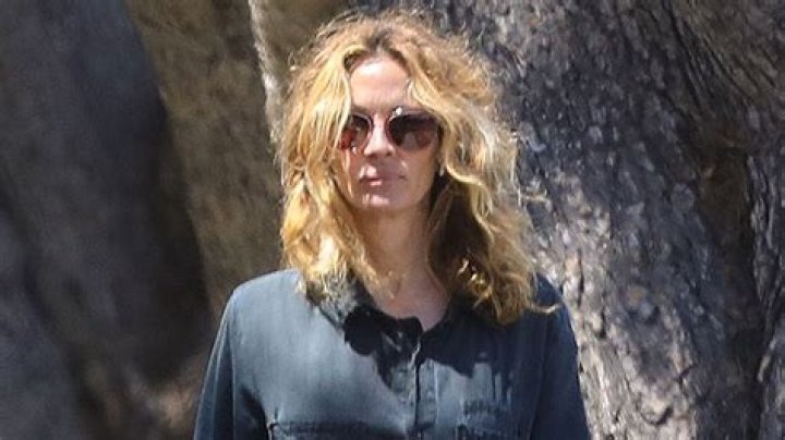 Julia Roberts, 52, Lets Her Natural Hair Blow In The Wind While Walking Her Dogs — Pic