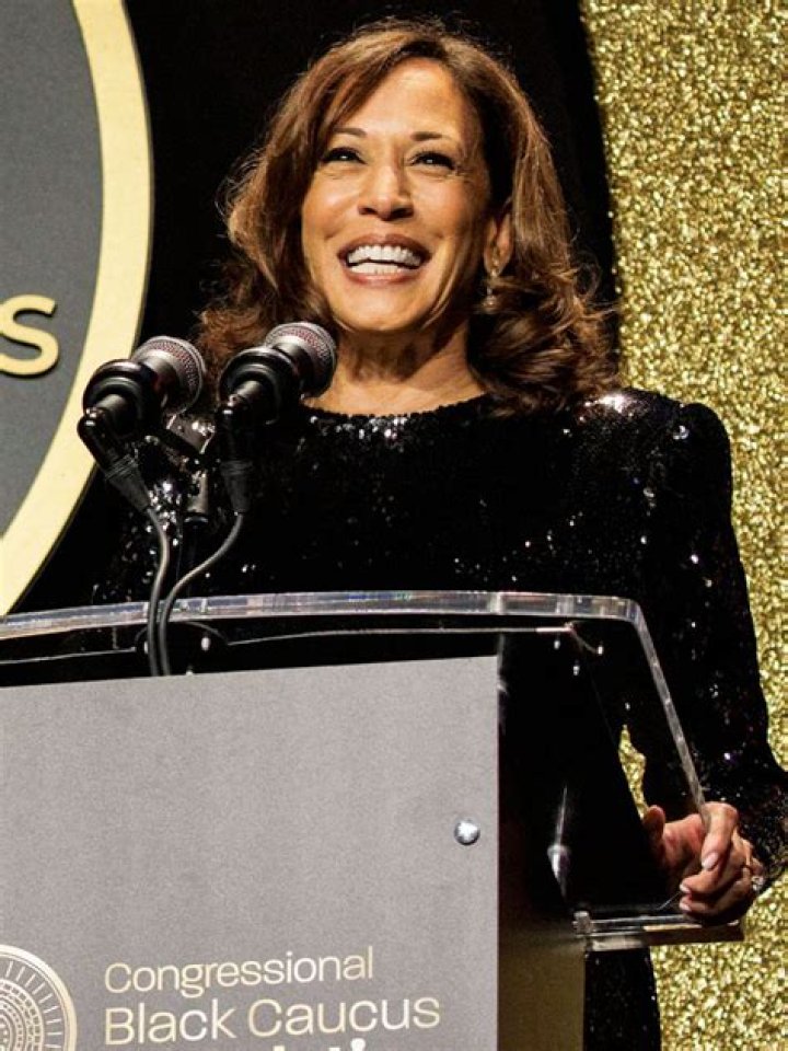 Kamala Harris Dazzles In Black Dress At Joe Biden State Dinner: Photos – Hollywood Life