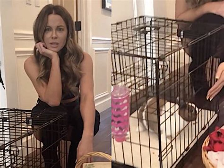 Kate Beckinsale, 46, Asks If ‘Everyone’s Zen’ While Doing Yoga In Cute Shorts