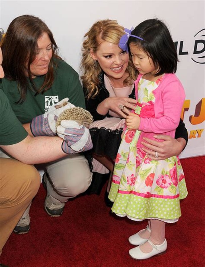 Katherine Heigl’s Kids: Meet the ‘Grey’s Anatomy’ Alum 3 Children