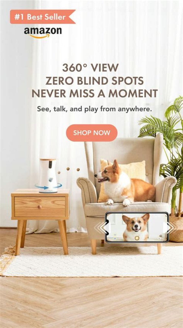 Keep An Eye On Your Pet With This Ellen-Approved Furbo Dog Camera That’s 30% Off Today