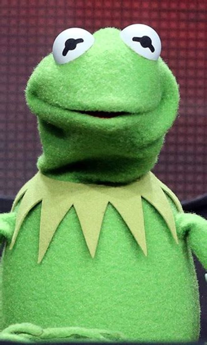 Kermit The Frog Celebrity Profile – Hollywood Life