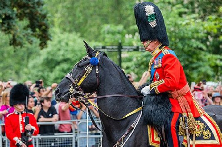 King Charles Arrives On Horseback For First Trooping Colour: Photos – Hollywood Life