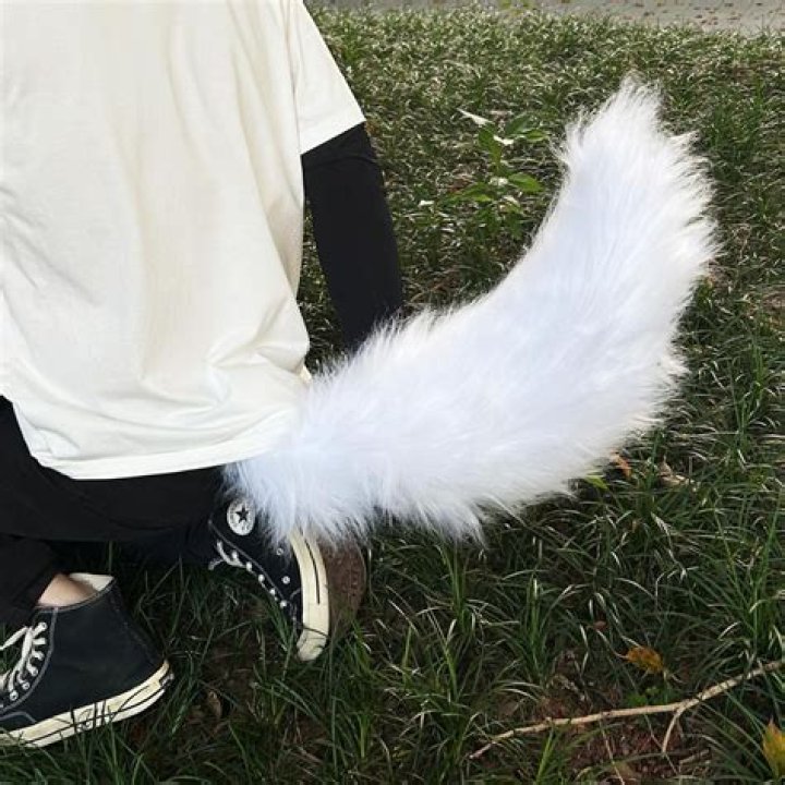 Kourtney Kardashian Proves She’s The ‘Tiger Queen’ With Furry Tail Hanging From Her Dress — See Pics