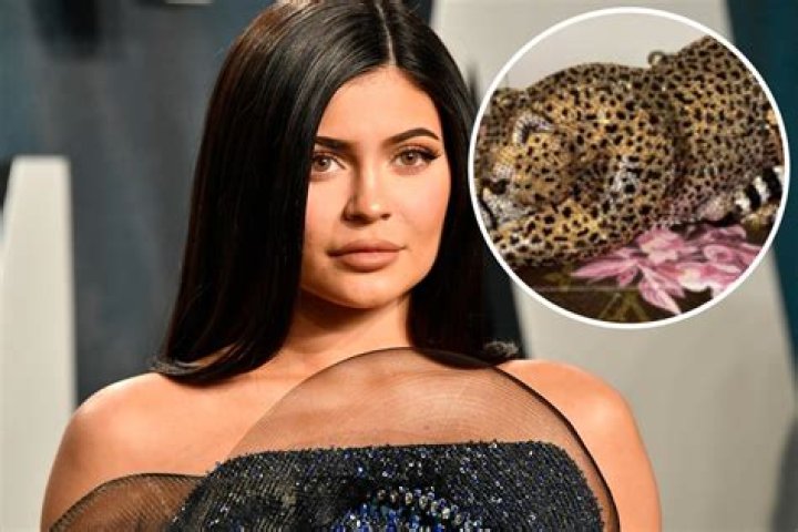Kylie Jenner Gifts Cheetah Clutches To Kim & Khloe Kardashian: Watch – Hollywood Life
