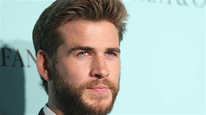 Liam Hemsworth Celebrity Profile – Hollywood Life