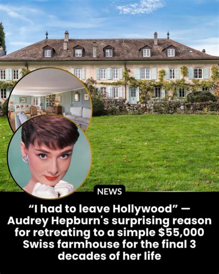 Lived Like Locals – Hollywood Life