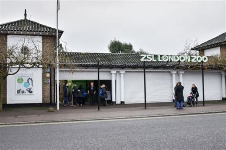 London Zoo Fire — PICS