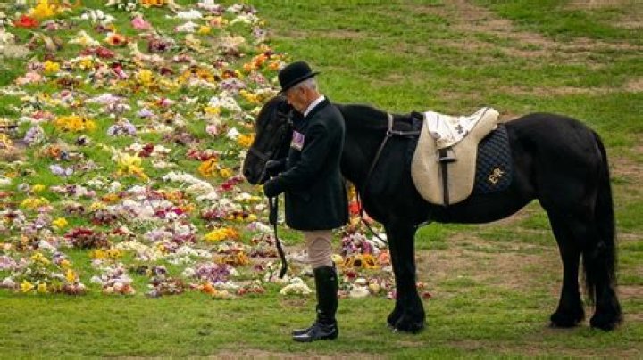 Madison Holleran’s Devastated Dad At Her Funeral: ‘We Have To Be Strong’