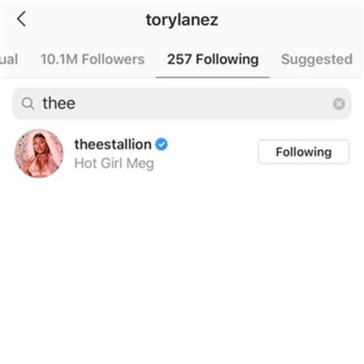 Megan Thee Stallion Unfollows Tory Lanez After Shooting Incident – Hollywood Life