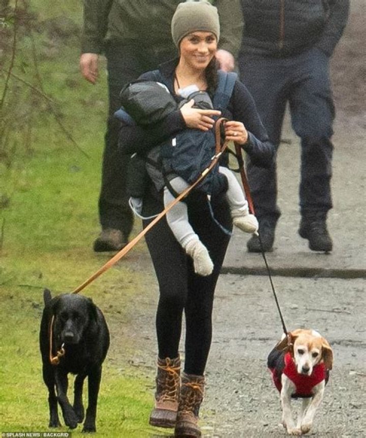 Meghan Markle Carrying Archie & Walking Dogs On Hike In Vancouver — Pics – Hollywood Life
