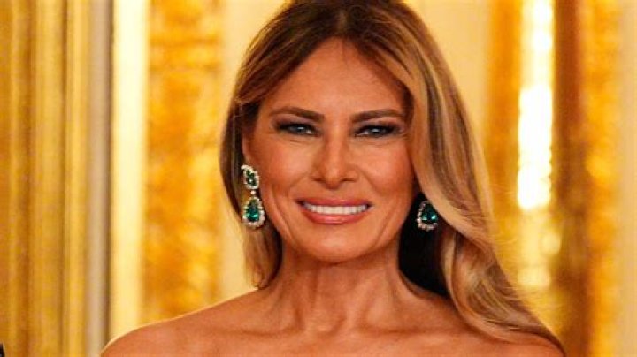 Melania Trump Looks Glamorous In Official First Lady Portrait, But Is She Overly Airbrushed?