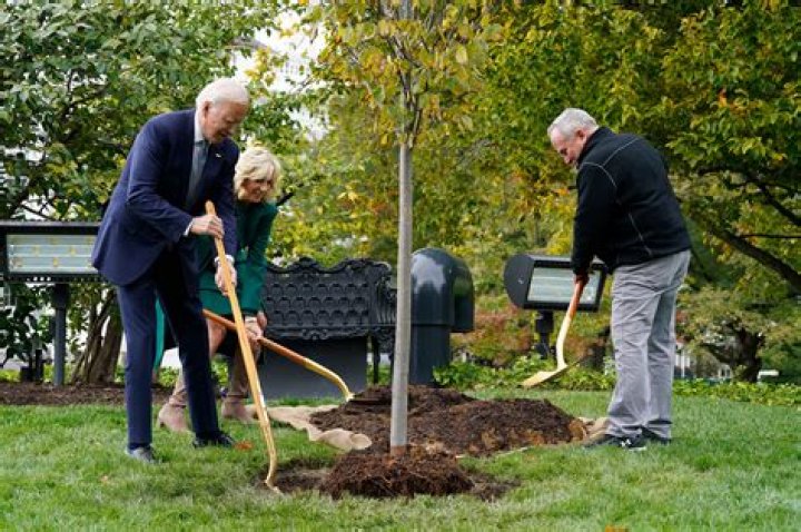 Melania Trump’s $700 Sky-High Heels Sink Into Ground & Get Dirty As She Plants Tree On White House Lawn