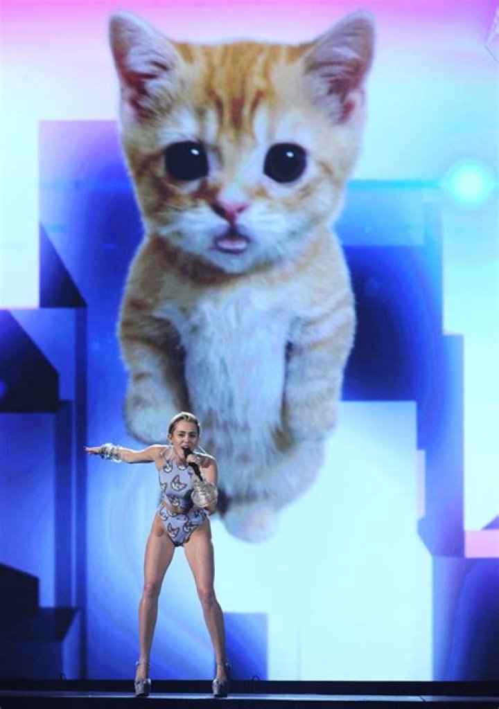 Miley Cyrus: Racy Reason She Chose To Perform With A Cat At The AMAs