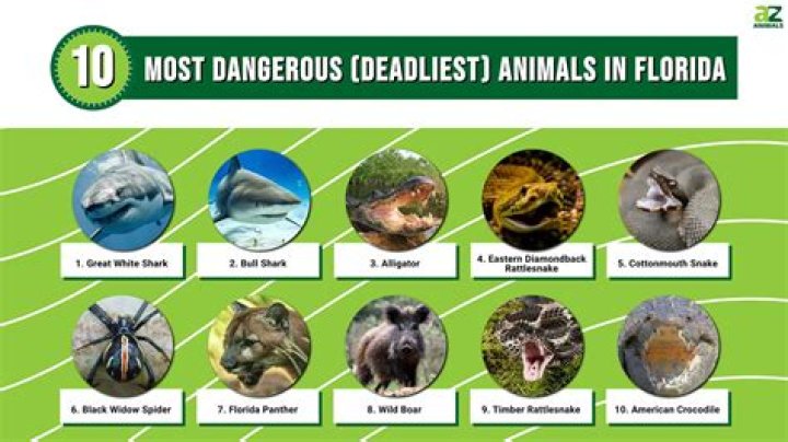 ‘Most Dangerous Animal Of All’ Docuseries — Photos