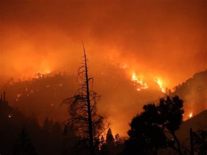 Napa Fire — PICS