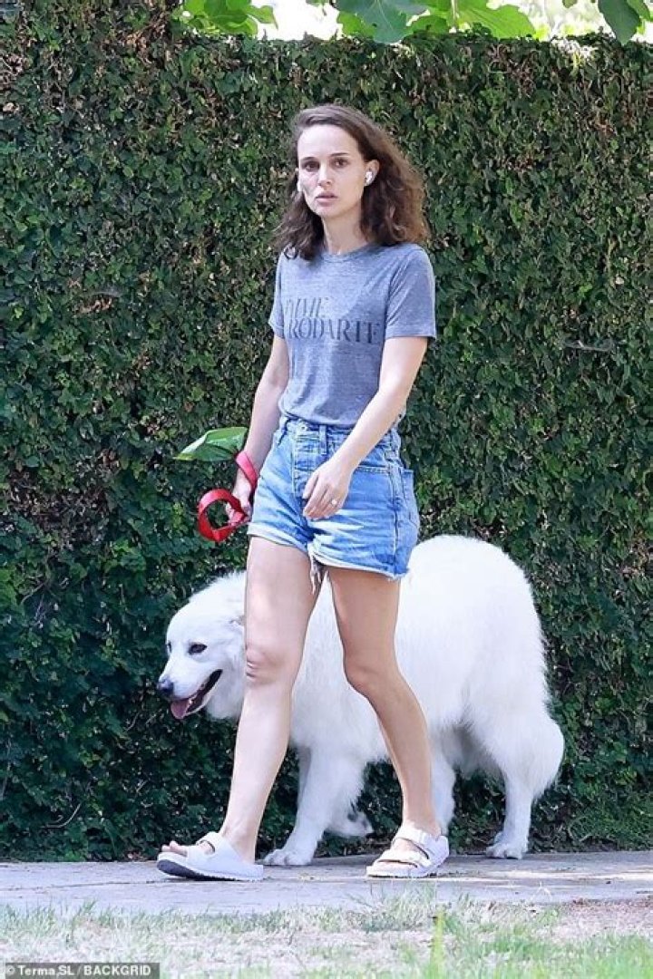 Natalie Portman Spotted Walking in Los Angeles Without Makeup: Photos – Hollywood Life