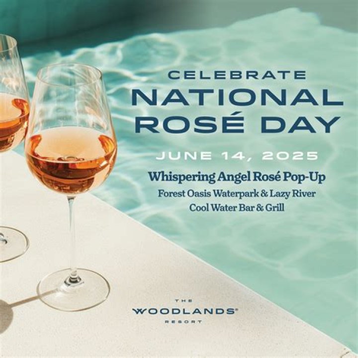 National Rosé Day 2019: 50 Delectable Cocktails & Bottles Of Rosé To Celebrate