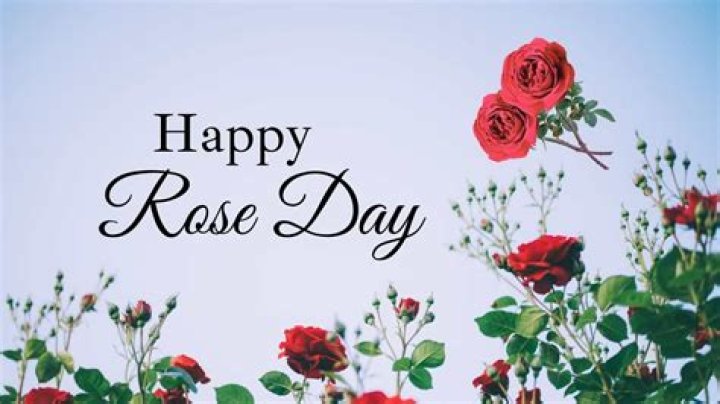 National Rosé Day — Pics