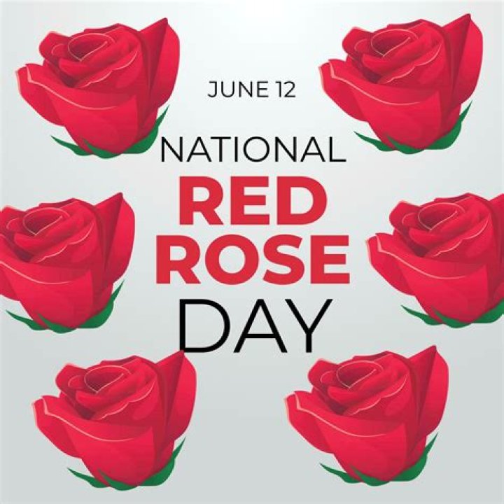 National Rosé Day — SEE PICS