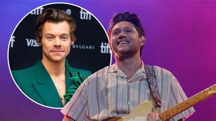 Niall Horan At Harry Styles Concert In London: Watch – Hollywood Life