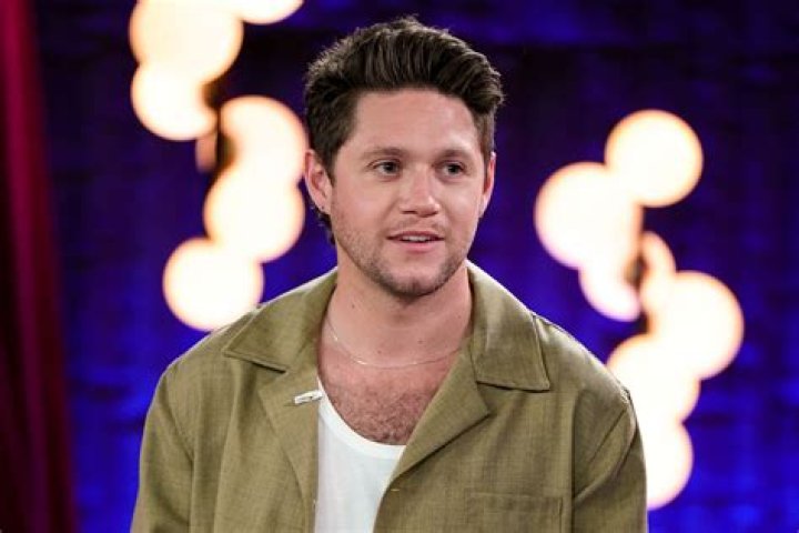 Niall Horan The Guy Behind ‘Don’t’? New Interview Nearly Confirms – Hollywood Life