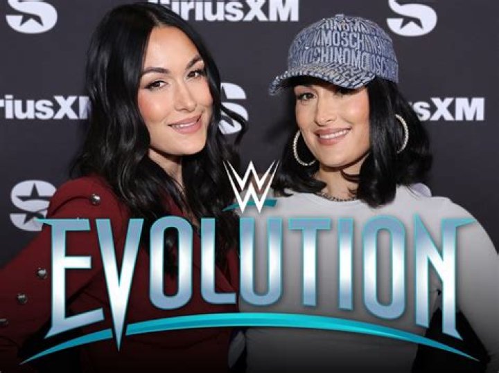 Nikki Bella Rocks Bikini By Pool With Sister Brie: Video – Hollywood Life