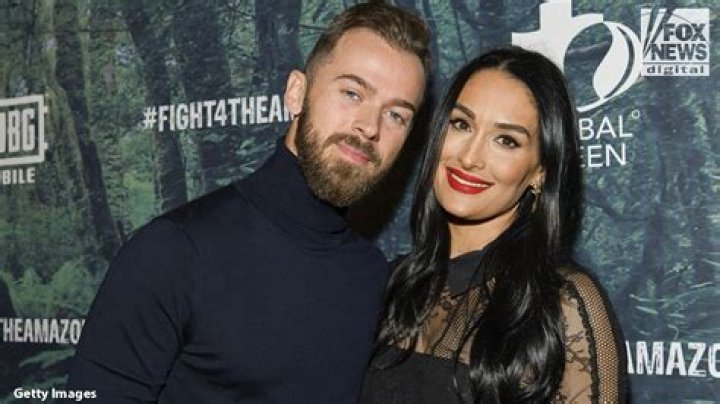 Nikki Bella’s Reaction To Artem Chigvintsev Returning To ‘DWTS’ After Baby – Hollywood Life