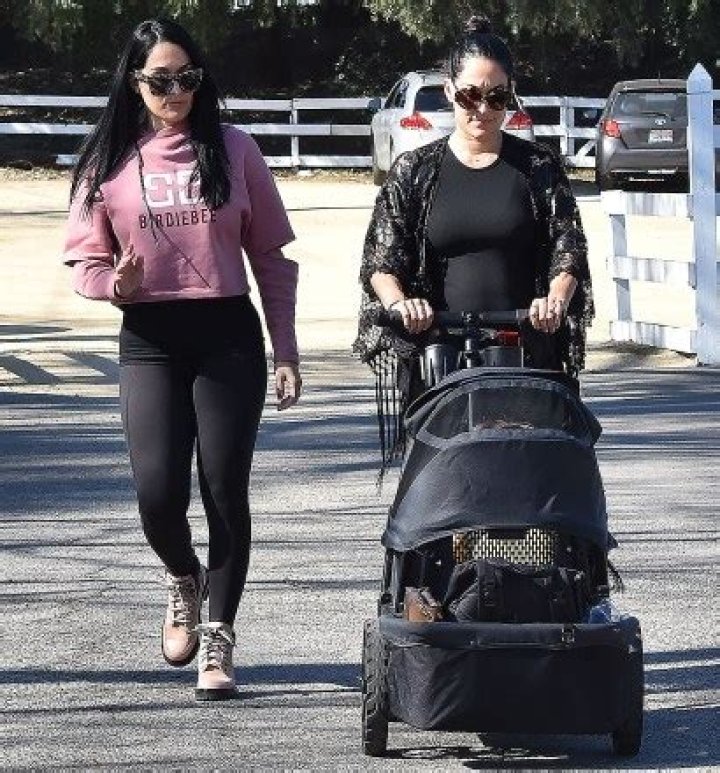 Nikki Bella Shares Hilarious ‘Mom Twerks’ Video Of Sister Brie Bella 11 Weeks After Giving Birth