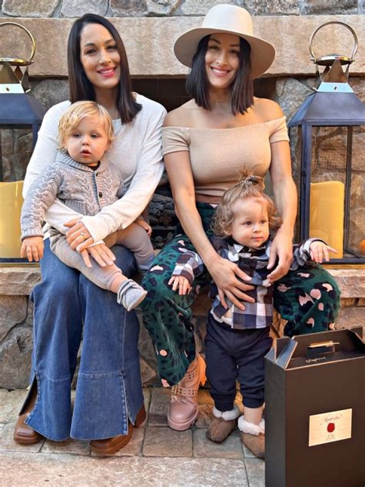 Nikki & Brie Bella Are Twinning (In More Ways Than One) While Showing Off Their Growing Baby Bumps