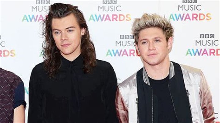 One Direction Fans Believe Harry Styles & Niall Horan Reunited On Hike – Hollywood Life
