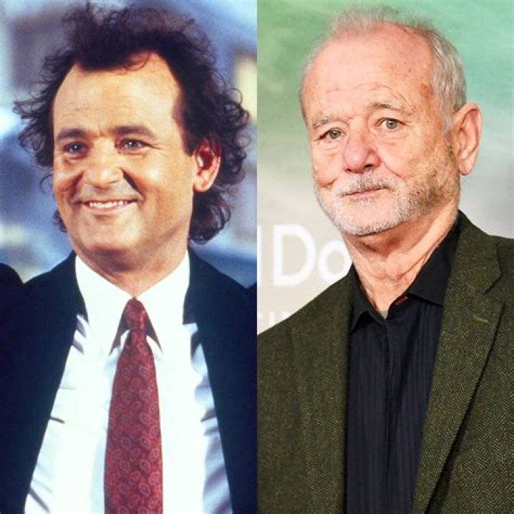 Photos Of Bill Murray & More – Hollywood Life