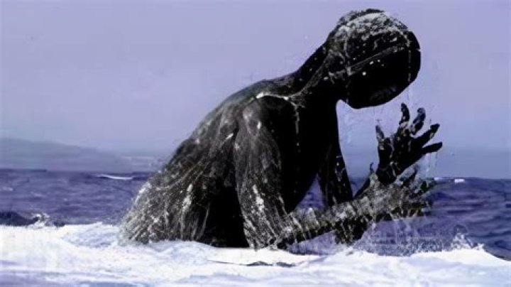 Photos Of The Scary Creatures – Hollywood Life