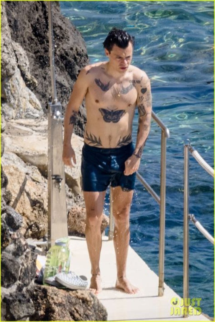 [PIC] Harry Styles Shirtless In Mexico — Relaxing Before North American Tour – Hollywood Life