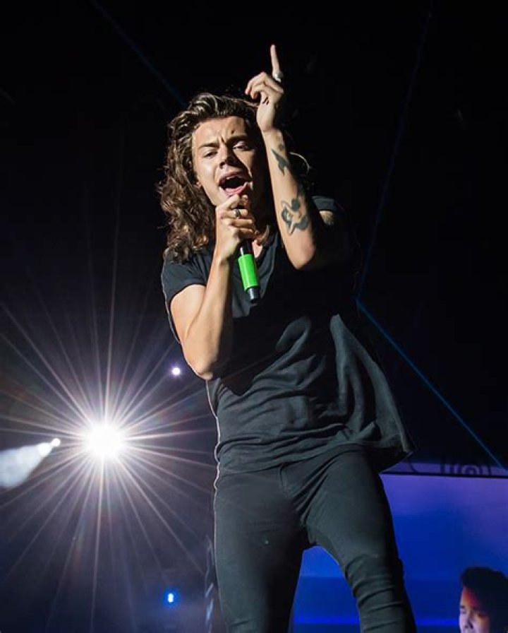 [PICS] Harry Styles’ Straight Hair — New Hairstyle For One Direction Singer – Hollywood Life