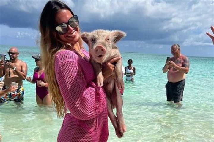 Porsha Williams Rocks Tiny Red Bikini While Playing With Pigs On The Beach — Watch