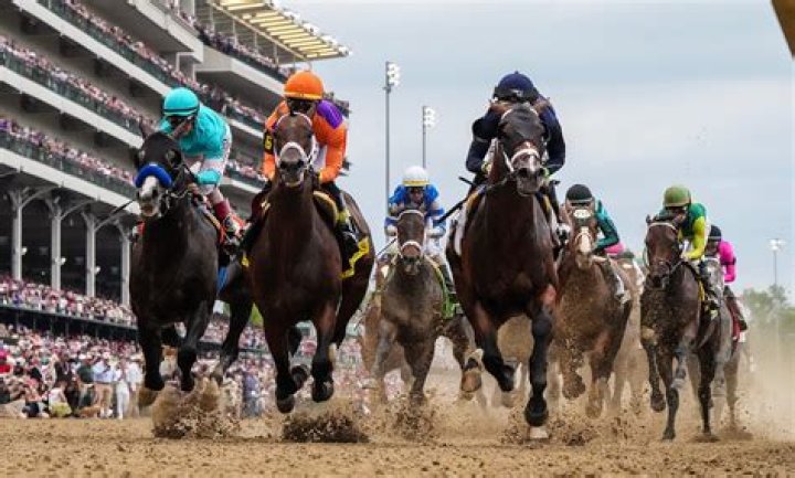 Preakness Horses 2017 — PICS