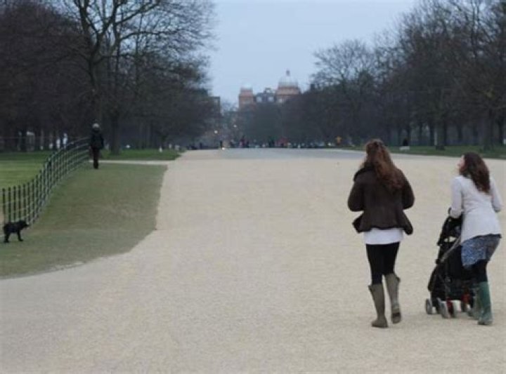 Pregnant Kate Middleton Takes Dog Lupo For A Walk In Hyde Park