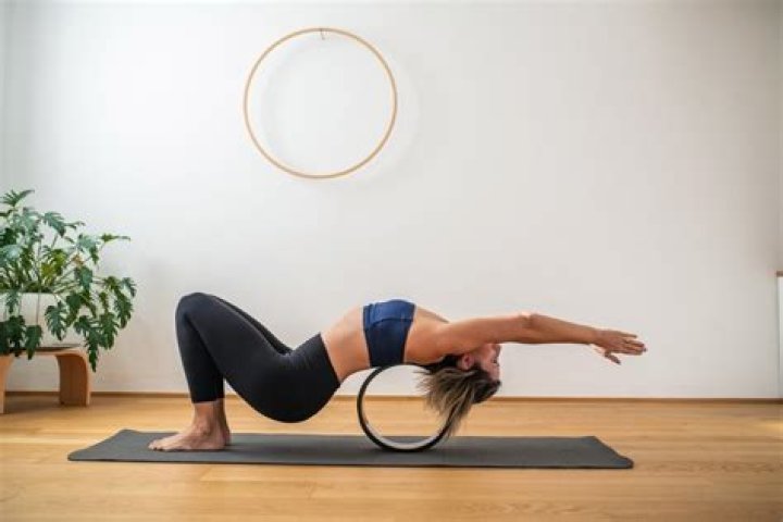Premium Yoga Wheels (Review) for 2023 – Hollywood Life Top Picks – Hollywood Life
