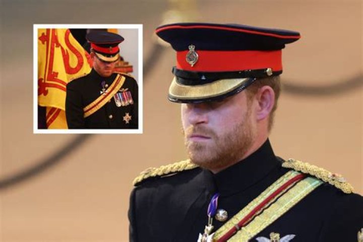 Prince Harry: 1st Look At Him In His Military Uniform After Issue Over Him Wearing It