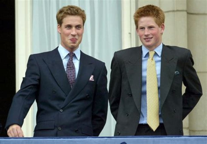 Prince Harry and Prince William’s Relationship in Photos – Hollywood Life