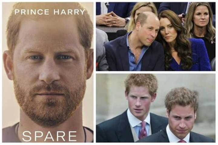 Prince Harry Mocks Williams’ ‘Alarming’ Hair Loss In Memoir, ‘Spare’ – Hollywood Life