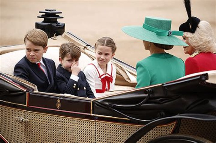 Prince Louis Covers Face Over Manure Smell During Trooping The Colour – Hollywood Life